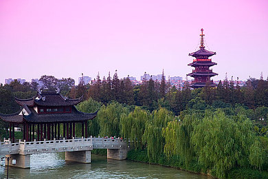 盘她ios直播下载,短视频直播神器，下载神器来袭！-1