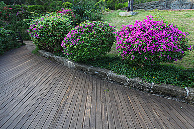 真实 交video老少配：年龄跨越，情感共鸣，视频交流暖人心-2