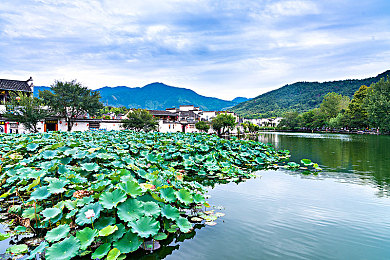 黄色软 软件：网络清朗行动：揭秘“黄色软件”危害与打击力度-1