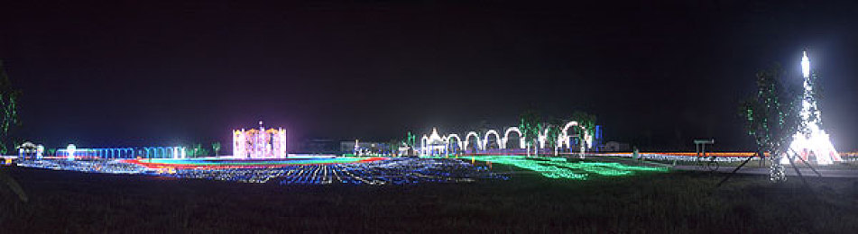 久久丁香：传统丁香新升级，养生保健新选择