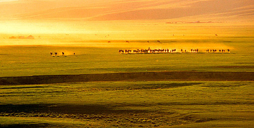 1234区：智慧社区新亮点，打造宜居现代化社区-3