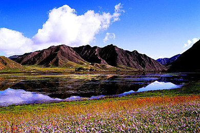 5X社区:游戏新宠亮相,5X社区奇幻之旅引热议-2