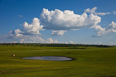 美女扒开内 的坤坤软件：社交新宠，独特功能吸睛无数-1