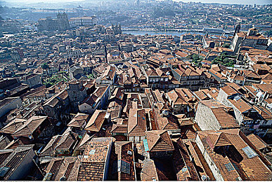 东方影库1800bf7796解锁方法详解：东方影库解锁攻略：轻松畅享海量影视-1