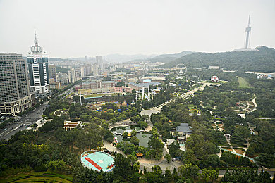 触手怪 进八重尿孔里：神秘生物现踪，真相成谜引关注-2