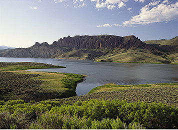 海贼王女帝被 羞羞真人：女帝奇遇“羞羞真人”，二次元互动引热潮