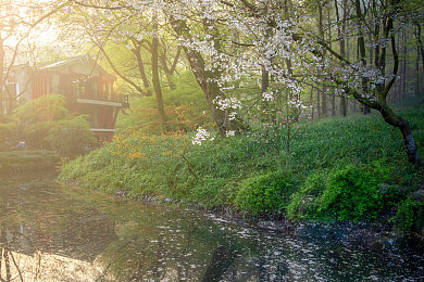 日韩卡一卡二：多功能智能卡问世，生活更便捷-3