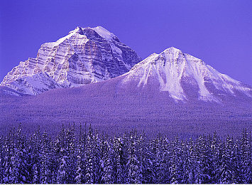 西施的欢迎会：古代美女传奇再现，西施故乡欢迎会引关注-1