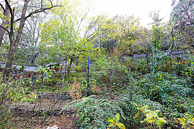 全彩ACG  无翼乌邪恶帝：奇幻ACG巨作，邪恶帝之路引思考-3