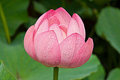 办公室被扒衣强伦：职场风波：扒衣事件背后的职场智慧大揭秘-4