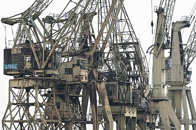 成人福利app导航秘 ar：“神奇导航神器，轻松找app”-1