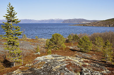 欧美变态videos绿帽情节：网络怪象：变态视频挑战道德底线-3