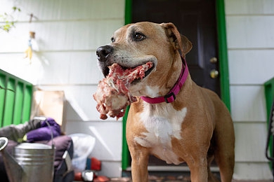 强摸秘书人妻大乳BD:企业性骚扰惊悚,女员工勇敢举报-2