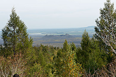 张柏芝吃陈冠希JJ：明星跨界合作，奇幻游戏引期待-1
