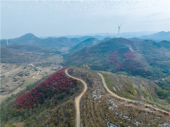 张婉莹手笔自愈视频大全网站：自愈秘籍：心理健康新平台，学习轻松，效果惊人-1
