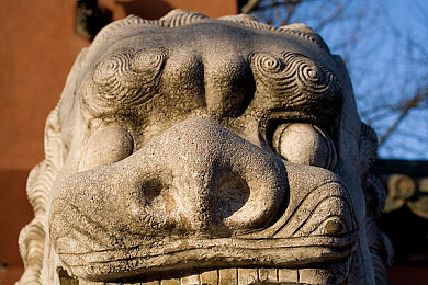 装睡滑进麻麻身体里：宝宝“装睡”奇遇：母爱满满温馨互动-2