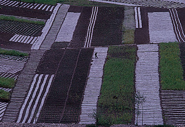 按摩会所勾搭女技师：按摩会所勾搭女技师，权益受损引关注-2