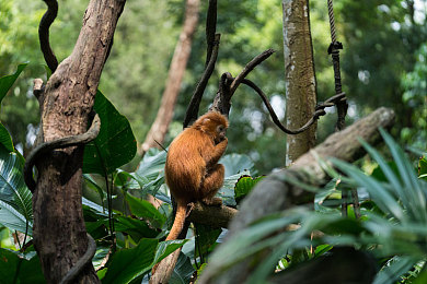 麻花传奇mv星空:星空传奇,梦想闪耀-1