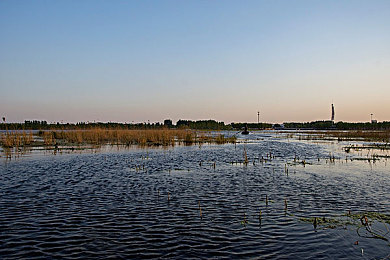 枫花恋被变态上司屈辱,职场悲剧:年轻女职员遭遇变态上司,尊严何在?-2