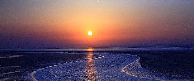 两个男的做酿酿酱酱网页:程序员联手打造独特美食网页,创新体验引关注-2