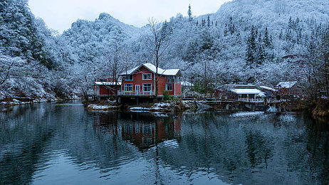 医生把我弄高潮：《医者仁心》游戏剧情引发热议-3
