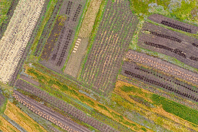 91高颜值女主排行：娱乐圈颜值排行：谁是你的女神？-3