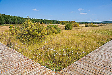 qqclive十年沉淀只为经典:十年砥砺,经典盛宴再现-3