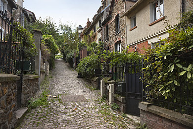 海角小马拉大车妈妈：温情游戏新宠，挑战与感动并存-1