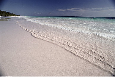 黑料吃瓜：《梦幻仙境》新游：趣味bug引发热议，玩家欢笑不断-1