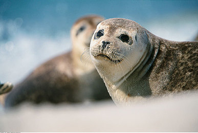 宏翔男男Gay洗澡互吃鳮网站：同性恋社交新平台，勇敢生活新选择