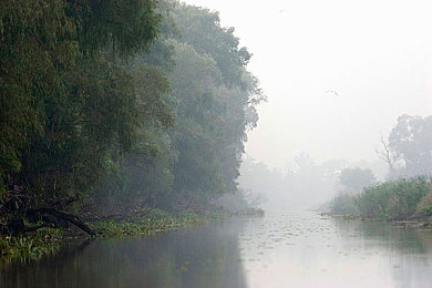 juliaann办公室与黑人：独特视角，游戏揭示黑人文化魅力-1