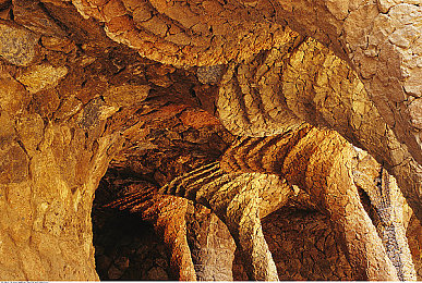 Zoom人与Zoom最新版本对比:Zoom大变身,新版本体验升级,揭秘!-2