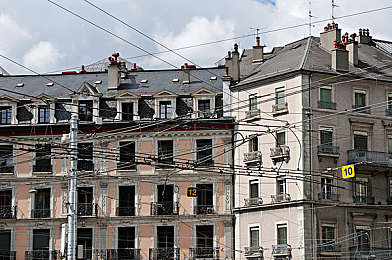 天天爱天天操：健身新宠，养成健康生活新风尚-3