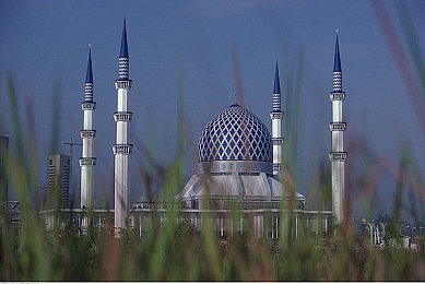 超爆乳豊満肉感：游戏新宠：独特美食经营，感受人性温暖-2