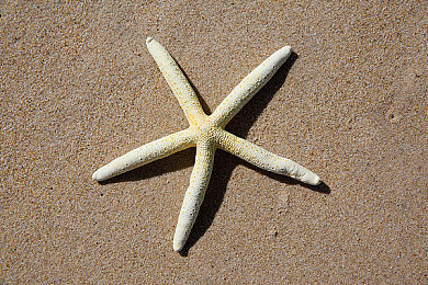 农村妇女野外BBwBBW:农村妇女风采:田野上的半边天-3