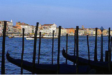 FreeⅩ牲护士Vidos中国：护士角色扮演游戏走红，沉浸式体验引人入胜-2