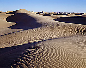 黄应用：揭秘“黄应用”：创新软件引领生活新风尚-2