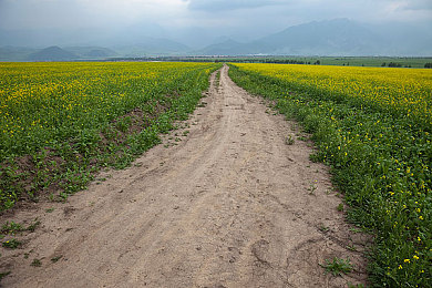 99热这里精品：发现隐藏宝藏，海量精品一键享-3