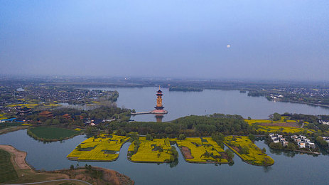久久丁香：传统丁香新升级，养生保健新选择-3