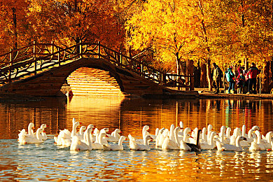 火影18：火影新篇章：激战升级，角色升级，新地图等你探索-2