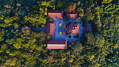 太深 拔出来 痛太舒头条：神奇保健新宠，缓解不适立竿见影-2