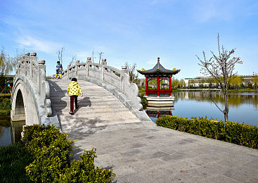 色色色网站：揭秘“色色色网站”：服务多，技术强，成行业黑马-2