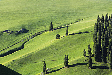 我帮妺妺洗澡忍不住c了她的奶:兄妹洗澡意外,道德底线引发热议-4