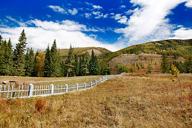 30岁人妻少妇69XX:职场少妇69XX:平衡事业家庭,成就非凡人生-1