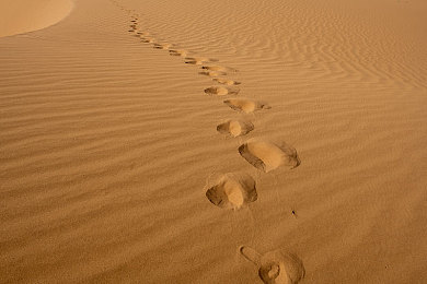 麻花传剧mv的资源在哪里找:国产剧《麻花传》剧版MV,哪里找?-2