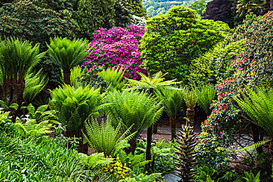 China直男飞机GayXX：直男航班走红，特色体验引关注-2