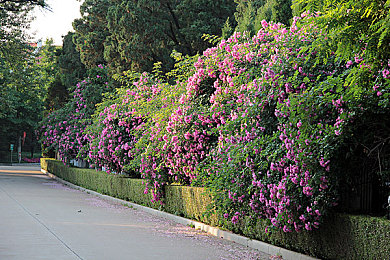 一个人看的www.：揭秘：“一人专属”网站，精神食粮新选择-2
