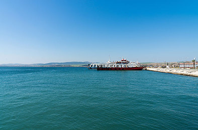 搞鸡网：揭秘搞鸡网：新锐平台，内容为王-1