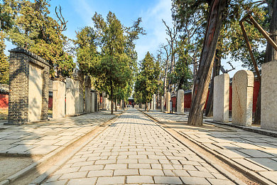 日韩五月天：五月天热潮席卷日韩，文化交流盛宴来袭