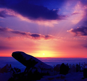 91无码红桃一区二区三区：独家资源大揭秘，娱乐平台哪家强？-3